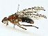  ( - BIOUG97730-F12)  @11 [ ] CreativeCommons - Attribution (2023) CBG Photography Group Centre for Biodiversity Genomics