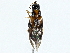  ( - BIOUG97730-G05)  @11 [ ] CreativeCommons - Attribution (2023) CBG Photography Group Centre for Biodiversity Genomics