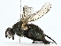  ( - BIOUG97732-E05)  @11 [ ] CreativeCommons - Attribution (2023) CBG Photography Group Centre for Biodiversity Genomics