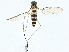  ( - BIOUG97732-F06)  @11 [ ] CreativeCommons - Attribution (2023) CBG Photography Group Centre for Biodiversity Genomics