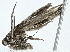  ( - BIOUG97732-F12)  @11 [ ] CreativeCommons - Attribution (2023) CBG Photography Group Centre for Biodiversity Genomics