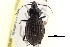  ( - CCDB-22961-B10)  @14 [ ] CreativeCommons - Attribution (2014) CBG Photography Group Centre for Biodiversity Genomics