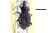  ( - CCDB-22961-C01)  @13 [ ] CreativeCommons - Attribution (2014) CBG Photography Group Centre for Biodiversity Genomics