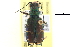  ( - CCDB-22961-C03)  @11 [ ] CreativeCommons - Attribution (2014) CBG Photography Group Centre for Biodiversity Genomics