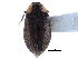  ( - CCDB-22965-B02)  @13 [ ] CreativeCommons - Attribution (2015) CBG Photography Group Centre for Biodiversity Genomics