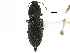  ( - CCDB-22966-D04)  @11 [ ] CreativeCommons - Attribution (2015) CBG Photography Group Centre for Biodiversity Genomics