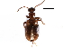  ( - CCDB-22969-F04)  @11 [ ] CreativeCommons - Attribution (2014) CBG Photography Group Centre for Biodiversity Genomics
