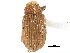  ( - CCDB-22983-A09)  @11 [ ] CreativeCommons - Attribution (2015) CBG Photography Group Centre for Biodiversity Genomics
