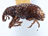  ( - CCDB-22983-B06)  @11 [ ] CreativeCommons - Attribution (2015) CBG Photography Group Centre for Biodiversity Genomics