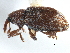  ( - CCDB-22983-B07)  @11 [ ] CreativeCommons - Attribution (2015) CBG Photography Group Centre for Biodiversity Genomics