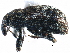  ( - CCDB-22983-B11)  @11 [ ] CreativeCommons - Attribution (2015) CBG Photography Group Centre for Biodiversity Genomics