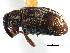  ( - CCDB-22983-B12)  @11 [ ] CreativeCommons - Attribution (2015) CBG Photography Group Centre for Biodiversity Genomics