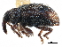  ( - CCDB-22983-C01)  @11 [ ] CreativeCommons - Attribution (2015) CBG Photography Group Centre for Biodiversity Genomics