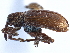  ( - CCDB-22983-C04)  @11 [ ] CreativeCommons - Attribution (2015) CBG Photography Group Centre for Biodiversity Genomics