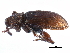  ( - CCDB-22983-C05)  @11 [ ] CreativeCommons - Attribution (2015) CBG Photography Group Centre for Biodiversity Genomics