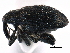  ( - CCDB-22983-D11)  @13 [ ] CreativeCommons - Attribution (2015) CBG Photography Group Centre for Biodiversity Genomics