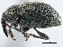  ( - CCDB-22983-E07)  @11 [ ] CreativeCommons - Attribution (2015) CBG Photography Group Centre for Biodiversity Genomics