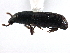  ( - CCDB-22983-H02)  @11 [ ] CreativeCommons - Attribution (2015) CBG Photography Group Centre for Biodiversity Genomics