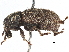  ( - CCDB-22984-D10)  @11 [ ] CreativeCommons - Attribution (2015) CBG Photography Group Centre for Biodiversity Genomics