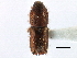  ( - CCDB-22986-A08)  @11 [ ] CreativeCommons - Attribution (2015) CBG Photography Group Centre for Biodiversity Genomics