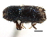 ( - CCDB-22986-A11)  @11 [ ] CreativeCommons - Attribution (2015) CBG Photography Group Centre for Biodiversity Genomics