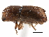  ( - CCDB-22986-B01)  @11 [ ] CreativeCommons - Attribution (2015) CBG Photography Group Centre for Biodiversity Genomics