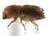  ( - CCDB-22986-B04)  @11 [ ] CreativeCommons - Attribution (2015) CBG Photography Group Centre for Biodiversity Genomics