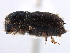  ( - CCDB-22986-B11)  @11 [ ] CreativeCommons - Attribution (2015) CBG Photography Group Centre for Biodiversity Genomics