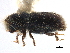  ( - CCDB-22986-C03)  @11 [ ] CreativeCommons - Attribution (2015) CBG Photography Group Centre for Biodiversity Genomics