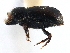  ( - CCDB-22986-C05)  @11 [ ] CreativeCommons - Attribution (2015) CBG Photography Group Centre for Biodiversity Genomics