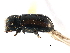  ( - CCDB-22986-C07)  @11 [ ] CreativeCommons - Attribution (2015) CBG Photography Group Centre for Biodiversity Genomics