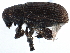  ( - CCDB-22986-E08)  @14 [ ] CreativeCommons - Attribution (2015) CBG Photography Group Centre for Biodiversity Genomics