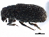  ( - CCDB-22986-E09)  @11 [ ] CreativeCommons - Attribution (2015) CBG Photography Group Centre for Biodiversity Genomics