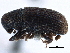  ( - CCDB-22986-E10)  @11 [ ] CreativeCommons - Attribution (2015) CBG Photography Group Centre for Biodiversity Genomics