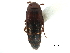  ( - CCDB-22987-D03)  @14 [ ] CreativeCommons - Attribution (2015) CBG Photography Group Centre for Biodiversity Genomics