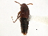  ( - CCDB-22987-D05)  @12 [ ] CreativeCommons - Attribution (2015) CBG Photography Group Centre for Biodiversity Genomics