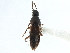  ( - CCDB-23049-E04)  @11 [ ] CreativeCommons - Attribution (2015) CBG Photography Group Centre for Biodiversity Genomics