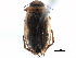  ( - CCDB-23052-F04)  @14 [ ] CreativeCommons - Attribution (2015) CBG Photography Group Centre for Biodiversity Genomics