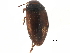  ( - CCDB-23053-E01)  @11 [ ] CreativeCommons - Attribution (2015) CBG Photography Group Centre for Biodiversity Genomics