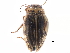  ( - CCDB-23053-G05)  @12 [ ] CreativeCommons - Attribution (2015) CBG Photography Group Centre for Biodiversity Genomics