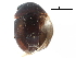 ( - CCDB-23055-G03)  @11 [ ] CreativeCommons - Attribution (2015) CBG Photography Group Centre for Biodiversity Genomics