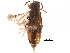  ( - CCDB-23055-H10)  @11 [ ] CreativeCommons - Attribution (2015) CBG Photography Group Centre for Biodiversity Genomics