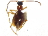  ( - CCDB-23056-A10)  @11 [ ] CreativeCommons - Attribution (2015) CBG Photography Group Centre for Biodiversity Genomics