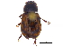  ( - CCDB-23058-H11)  @13 [ ] CreativeCommons - Attribution (2015) CBG Photography Group Centre for Biodiversity Genomics