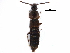  ( - CCDB-23059-G04)  @11 [ ] CreativeCommons - Attribution (2015) CBG Photography Group Centre for Biodiversity Genomics