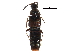  ( - CCDB-23059-H10)  @11 [ ] CreativeCommons - Attribution (2015) CBG Photography Group Centre for Biodiversity Genomics