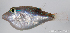  ( - M0201_162)  @13 [ ] Copyright (2015) Henitsoa JAONALISON IH.SM