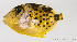  ( - M0202_321)  @11 [ ] Copyright (2015) Henitsoa JAONALISON IH.SM