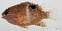  ( - R0201_411)  @11 [ ] Copyright (2015) Adeline COLLET, OCEA Consult IRD