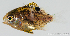  ( - R0601_071)  @11 [ ] Copyright (2015) Adeline COLLET, OCEA Consult IRD